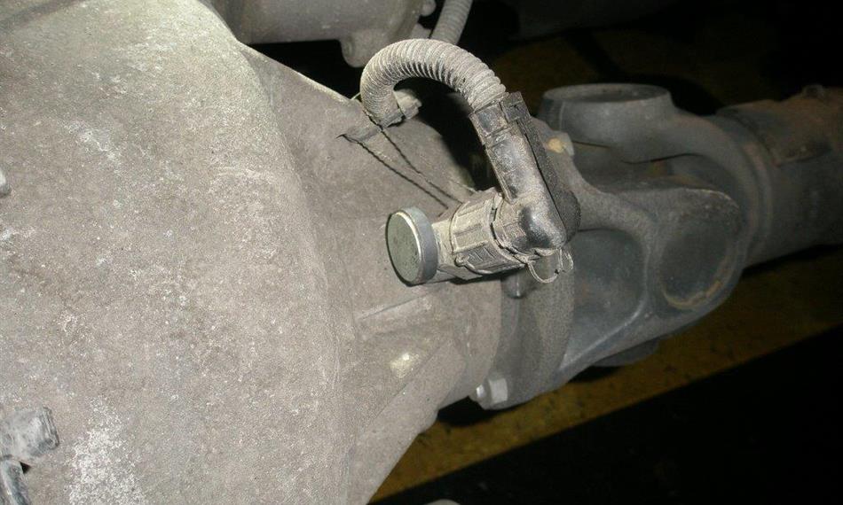 2014-5-7-823Magnet - foto 1.jpg